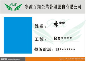 寧波百翔企業管理服務 專業賦能，助力企業穩健前行